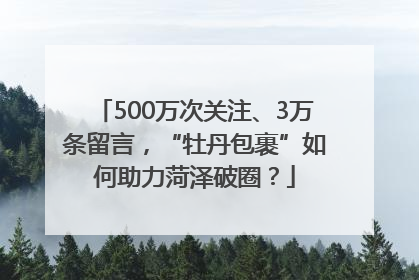 500万次关注、3万条留言，“牡丹包裹”如何助力菏泽破圈？