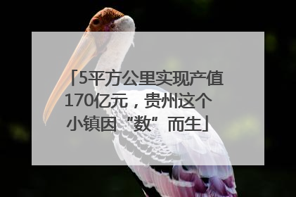 5平方公里实现产值170亿元，贵州这个小镇因“数”而生