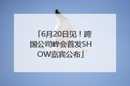6月20日见！跨国公司峰会首发SHOW嘉宾公布