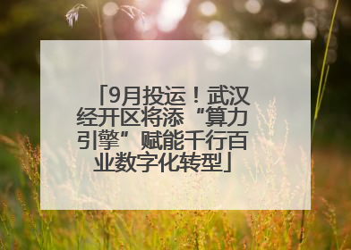 9月投运！武汉经开区将添“算力引擎”赋能千行百业数字化转型