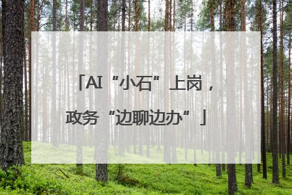 AI“小石”上岗，政务“边聊边办”