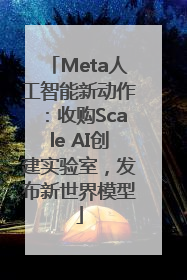 Meta人工智能新动作：收购Scale AI创建实验室，发布新世界模型