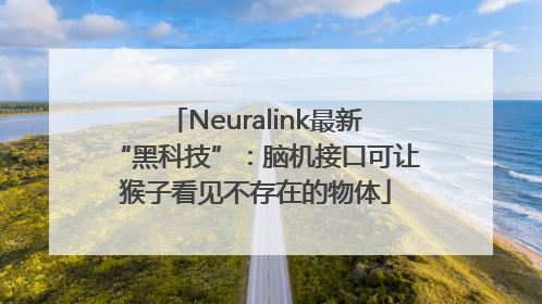 Neuralink最新“黑科技”：脑机接口可让猴子看见不存在的物体